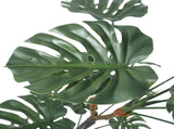 Premium Potted Monstera Split Leaf 150cm UV Resistant V637-DP326593