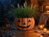Halloween Decor, Pumpkin Planter with Jack O Lantern Face, Fall Decor for Porch, Indoor Outdoor, V1369-AZ3-W-21678