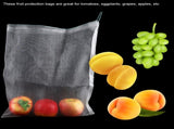 50pcs Plant Fruit Protection Bags Drawstring Mesh Bag Against Insect Pest Garden Tools 30*20cm V1294-YM0901-JY14160-02