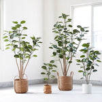 SOGA 4X 180cm Plastic Potted Polyscias Scutellaria Plant Home Garden Artificial Tree, Home Decor APLANTFHJQD18080X4