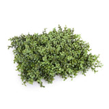 Deluxe Portable Buxus Hedge UV Resistant 100cm Long x 50cm High V637-DP1012744