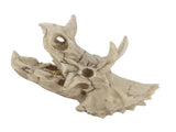 Resin Dinosaur Triceratops Skull Model Simulated Skeleton Home Office Display Decorative Craft V1294-YM0901-JY06511