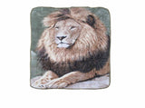 Soft 3D Animal Print Faux Mink Blanket Single Sitting Lion V442-YTL-BLANKET-3DSITTINGLION-MULTI-SB