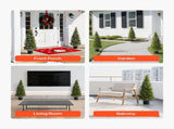 Artificial Topiary Cedar Trees, 2 Set 1219mm Faux Pine Shrubs Plants, Fake Silk Tree Look Real, Easy V952-XSRGXJS48YCXNM7Y5001V0
