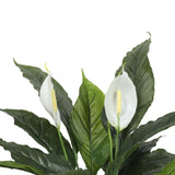 Artificial Spathiphyllum Peace Lily Plant with White Flowers 60cm V77-1188134