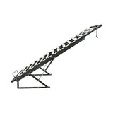 King Single Gas Lift Bed Mechanism with Frame Storage Platform & Sofa Bed Kit V63-931671