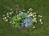 Rabbit Flower Pot Succulent Planter Garden Bunny Decorative Flower Pot Animal Shaped Planter V1294-YM0718-10347190