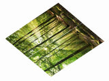 Forests Sunlight Printing Shading Curtains for Balcony Bedroom Drawing Room Window 170 * 200cm V1294-YM0901-JY35918-02