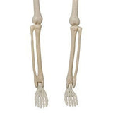 2PCS Skeleton Decorations 35.4 Inch Plastic Posable Spooky Full Body Skeleton Haunted House Prop for V1294-YM0901-3115240091911