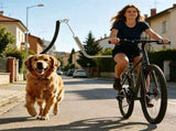 Bike Dog Leash with Shock-Absorbing Spring Bracket Hands-Free Cycling Dog Walker for Outdoor V1341-ZY-FE96E793-SILVER