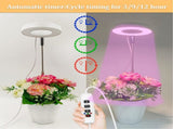 Angel Halo Ring LED Plant Grow Light, Full Spectrum Warm White & Red Blue for Succulents, Flowers, V1341-ZY-DVK5MMNN-3PCS-L