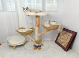 Real Wood Cat Tree Tower in Natural Wood for Indoor Cats Up to 10KG, 60x111cm V178-59364