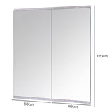 Yezi Workout Mirror Home Gym Mirror 2 Pcs Tempered Glass Full Length Wall Mount DECO1045-120X60-2PC-AU