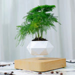 GOMINIMO Magnetic Levitating Plant Pot V227-3720101000060