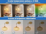 Battery Operated Wall Sconce Set of 2, Rechargeable Rattan RGB Light, Remote, Bedroom V1263-JX-5782