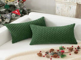 Holzlrgus Fall Set of 2 Striped Textured Velvet Corduroy Decorative Europe Sham Seasonal Autumn V1189-WXFWAL-20260319-01320