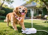 Paw-Activated Outdoor Water Dispenser for Dogs Step-to-Drink Fresh Water Toy with Hose Adapter, V1341-ZY-UPKJMEWT-WHITE