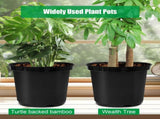 5 Gallon 12 Inch Plastic Nursery Pots, Plant Containers with Drainage Holes, Round Sturdy Garden V1258-DP02-C-1473