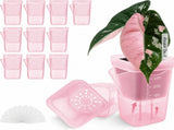 Semi-Transparent Pink Square Self-Watering Propagation Pot for Desktop Succulents, Seedlings, and V1341-ZY-J99X4UDS-H-12PCS
