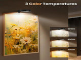 3 Pack Battery Operated Picture Lights, Magnetic LED Wall Art Display Lamp With Remote Control, 3 V1237-ZY-807-164