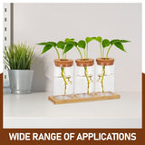 Set of 3 Clear Glass Plant Propagation Bottles for Indoor Gardening, Terrarium Decoration and Plant V1370-AZ4-14300
