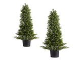 Artificial Topiary Cedar Trees, 2 Set 914mm Faux Pine Shrubs Plants, Fake Silk Tree Look Real, Easy V952-XSRGXJS36YCXDIEET001V0