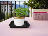 4-Pack Square Plastic Planter Saucers with Water Collection Tray and Matte Finish for Indoor Outdoor V1369-AZ3-W-16711