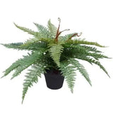 Artificial Potted Fishtail Fern 55cm V637-DP1043026