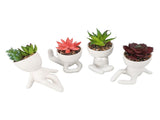 4Pcs Artificial Succulent Plant Cute Ceramic Faux Succulent Flower Pot Decoration Set for Office V1294-YM0901-3115240013111
