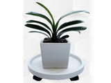 Flower Pot Tray Wheels Round Shape Removable Rotating Wheels Plant Stand for Balcony White 40 V1294-YM0706-3111230247712