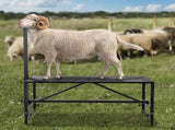 Goat & Sheep Stand, 47x23 inch Livestock Stand, Metal Livestock Milking and Shearing Stand 21" to V952-SCXJJHSYTM47HMU08V0