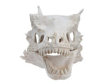 Latex Simulation Dinosaur Skull Mask Head Cover Halloween Costume Party Cosplay Props Decoration V1294-YM0714-3115210172811