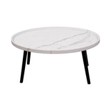 Oval Coffee Table Mid Century Modern Minimalist Display V63-921071