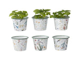 Set 6 Assorted Spring Colour Planters 9cm V637-11030PLN