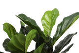 Artificial Fiddle Fig Tree 70cm V637-DP1016121