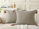 18" x 18" Decorative Throw Pillow with Inserts, Set of 2 Farmhouse Neutral Couch Throw Pillows with V1258-DP02-C-3205
