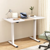 Artiss Standing Desk Motorised Dual Motor 120CM HASD-268-WHDF-NWDB-120