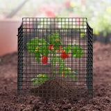 VEVOR 10 Pack Plant Protector from Animals 305 mm x 305 mm Metal Plant Cage V952-QBWZCL12YCHS5IV6FV0