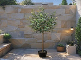 Potted Artificial Pruned Olive Tree 120cm V637-84507TRE
