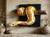Golden Ball Wall Sculpture, Realistic Reptile Art, Lifelike Detail, Strength Symbol for Entryway, V1192-AZ-W-24315