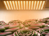 150W Full Spectrum Thin Plant Light Plant Growing Light for Greenhouse Flower Planting V1294-YM0901-3119200024513
