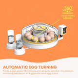 Automatic 12 Egg Incubator - Electric Digital Turning Chicken Quail Duck Hatching V238-SUPDZ-41052083978320