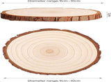 20 Tree Trunk Slices - Round Tree Trunk Slices - Natural Wooden Tree - No Holes - V1188-MS101-01524-1