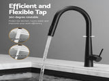 Cefito Stainless Steel Sink 100x45CM With Pull Out Mixer Tap Kitchen Basin Double Bowl Black SINK-BLACK-10045-52