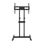 Artiss Mobile TV Stand for 23"-65" TVs Mount Bracket Portable Solid Trolley Cart TV-MOUN-B-DVD014