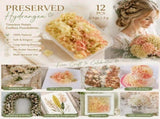 Modern Mixed Shade Preserved Hydrangea Event DIY Decor Bulk Bundle of 12 V1221-XM-LB826-ZS19