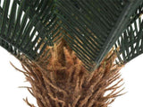 Artificial Cyca Plant 60cm V637-DP1890006