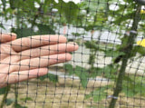6.8ft x 65ft Anti Bird Netting, Pond Net with 50pcs Cable Ties - Protect Your Garden Vegetables V1258-DP02-C-247