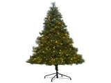 Christabelle 1.8m Christmas Tree Cashmere Pine 6ft Pre-Lit with LED Lights CMT-LED-NPB-6FT