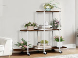 FIN Vintage Plant Holder 3 Tiers Storage Shelf Unit with Lockable Casters Garden V767-JJ-XZ1781